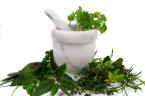 growning your own herbs indoors or in a outside herb garden