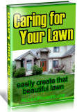 Care and Grooming of your lawn