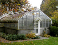 eCourse on Growing Greenhouse plants and flowers