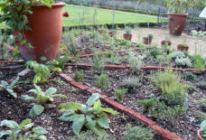 attractively designed outdoor herb garden