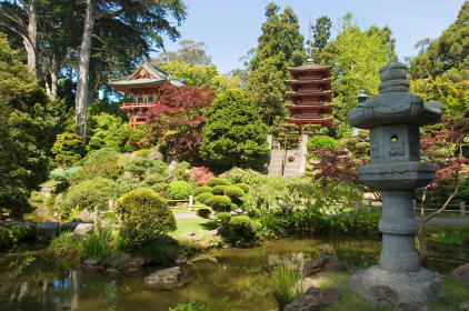 Japanes garden with bonzai specimens