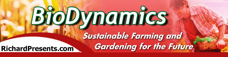 A Biodynamic Gardening Avenue biodynamic farming and gardening image