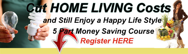 Cut Home Living Costs FREE eCourse