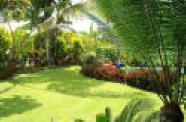 lawn landscaping including flower gardens and shrubs