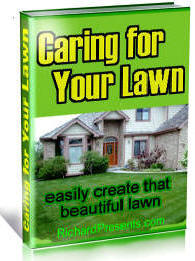 Care and Grooming of your lawn